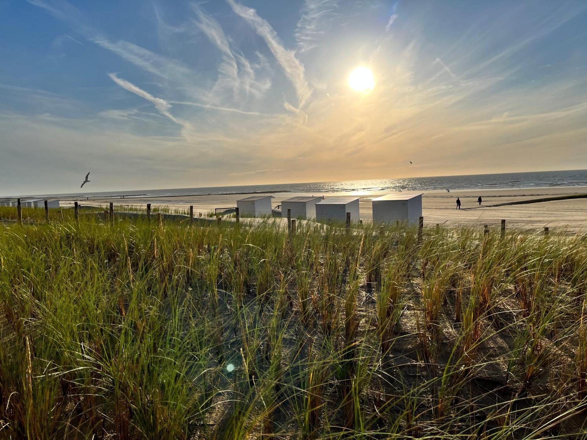 Beach Bungalow Green Villa Middelkerke Exterior foto